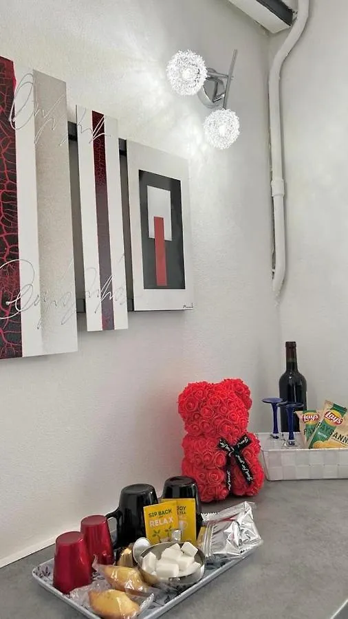 דירה Lovely Studio In The Heart Of קאן